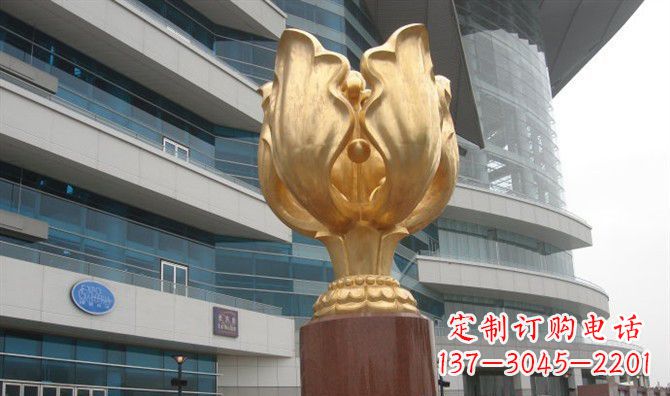张掖不锈钢紫荆花之美