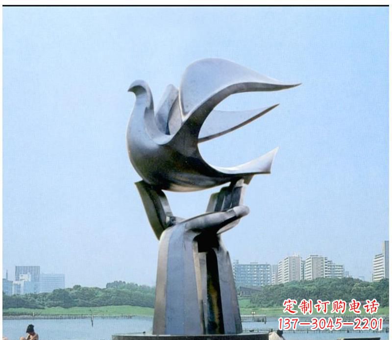 张掖静谧之鸽,传递和平象征~