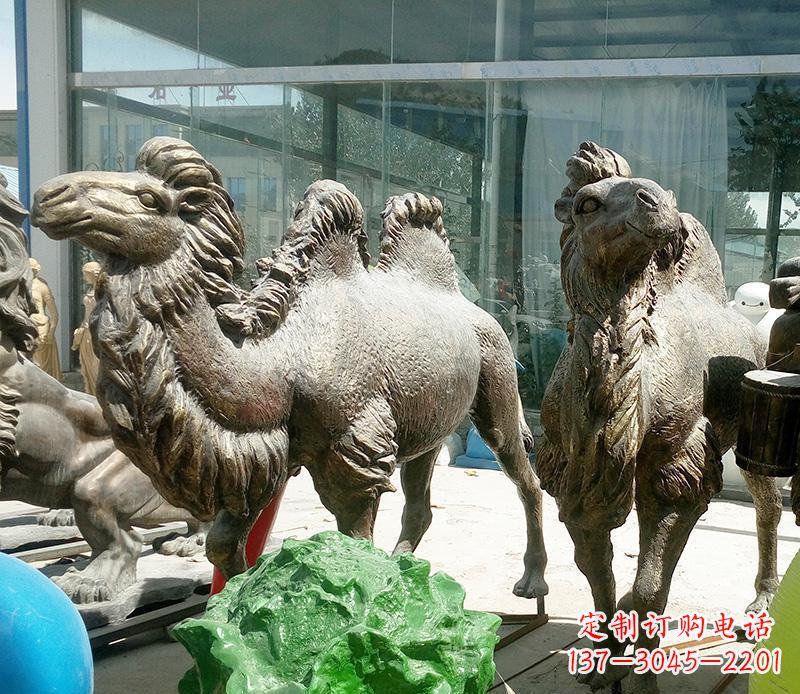 张掖公园骆驼动物铜雕 (2)