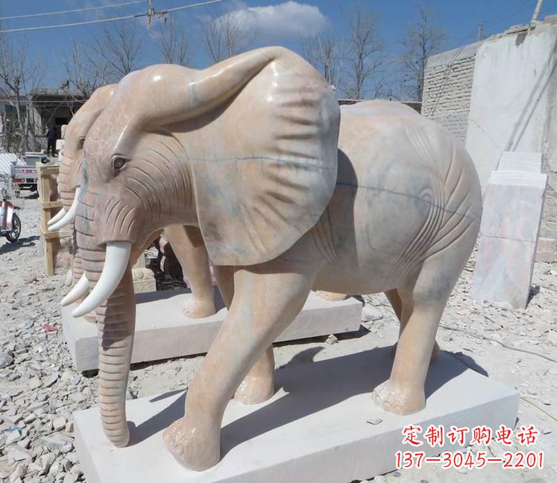 张掖晚霞红卷鼻大象
