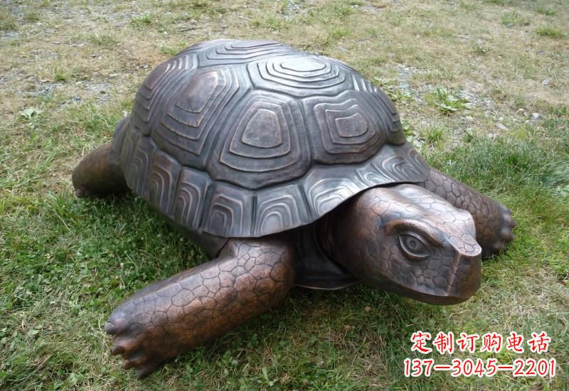 张掖乌龟铜雕222