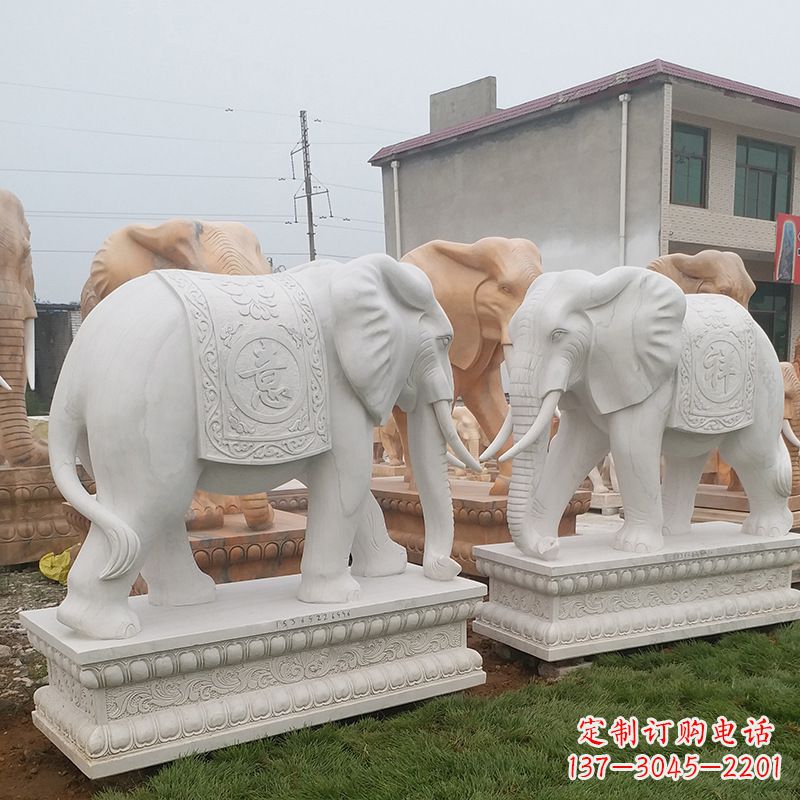 张掖学校石雕大象