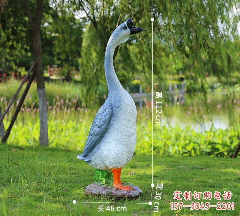 张掖站立立脖灰色天鹅
